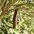 Glitzhome 13.25''H Hanging Birdhouse Retro Green Distressed Solid Wood Bird House for Outdoor