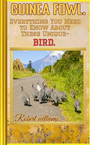 How to cook guinea fowl How to cook guinea fowl