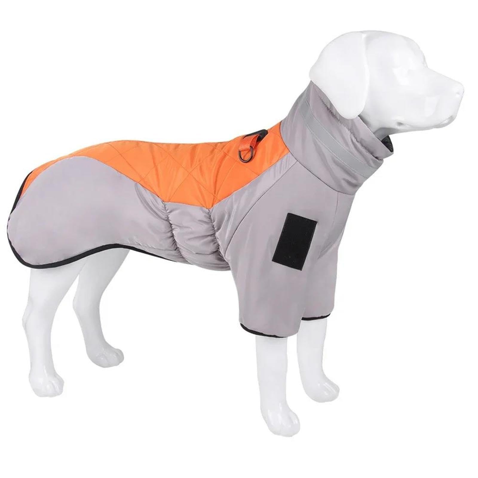 Veste chien réfléchissante et résistante au froid pour grand Labrador 2XL