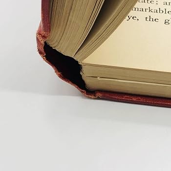 Amazon.co.jp: 挿絵本 カイニールセン 『 アンデルセン童話集