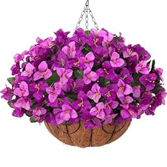 Light Fuchsia + Fuchsia