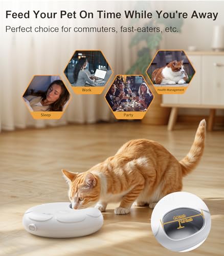 Distributeur nourriture humide chat fraîche pour petit chien - 3