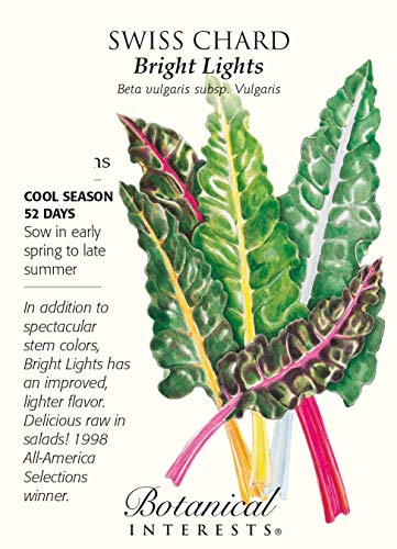 VISA STORE acelgas colorido, ideal para el color concierto en triste; semilla suficiente para sembrar la fila 1, 35 pies; de semillas de 2 gramos;