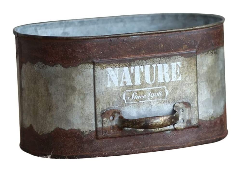 Balkonowa wisząca donica rośliny domowe Vintage metalowa doniczka wiadro sadzarka rustykalna doniczka na rośliny metalowe wiadro doniczka uchwyt na Sundires