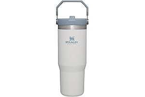 STANLEY IceFlow Stainless Steel Tumbler with Straw: The Ultimate Unisex Gift for Adults