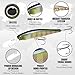 LUCKY CRAFT Pointer 100DD Fishing Lures for Freshwater, 4