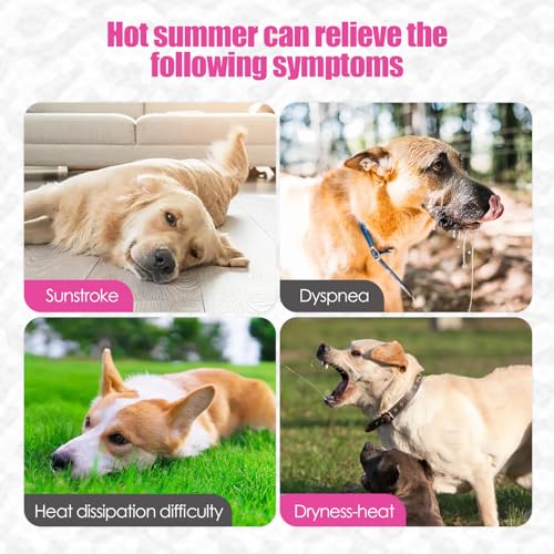 Elehui Kühlweste für Hunde, verdunstend, bequem, atmungsaktiv, kühlende Weste für Haustiere, Sommer-Sonnenschutz, Hundejacke mit reflektierenden Streifen für S, M und L (Rosa, L)