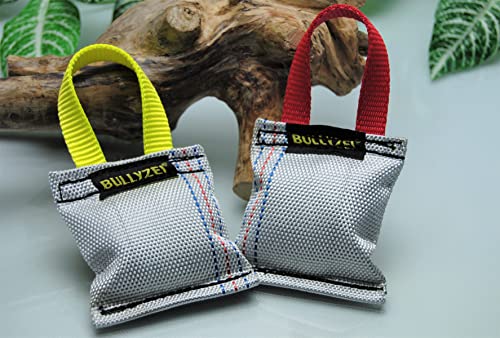 BULLYZEI Beißwurst Feuerwehrschlauch Kissen 8 x 8 cm mit Quietscher/Squeaker, 1 Schlaufe