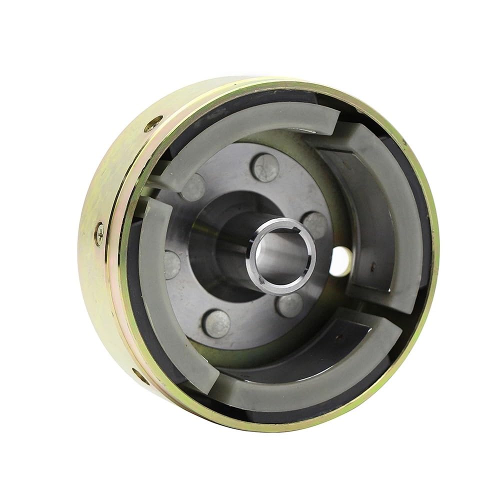 Generador Ignición Volante Inercia Estator Bobina Estator Magneto De La Motocicleta Accesorios 2XJ-85550-M0 2XJ-85550-M1 Para YFS200 Para Blaster Para Edición Especial