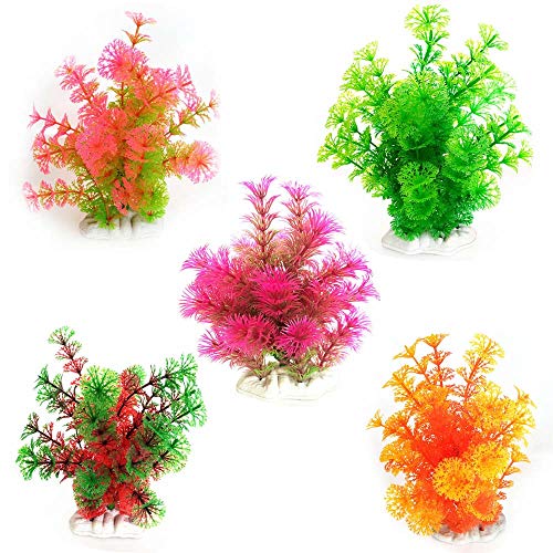 Get Strand aquarium dekorationen For iPhone Free Strand Aquarium Dekorationen