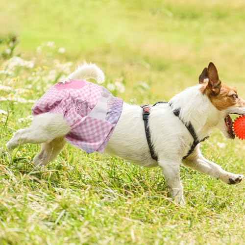 POPETPOP Fraldas Descartáveis ​​ Cães Fêmeas: 12 Fraldas Descartáveis ​​Macias Cães Superabsorventes