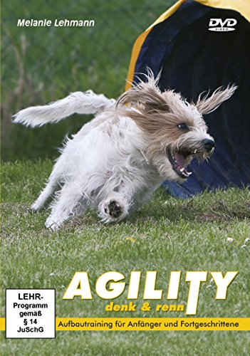 Agility: denk & renn - Aufbautraining für Anfänger und Fortgeschrittene