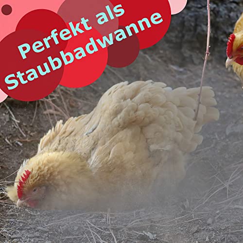 Petigi 3X Wanne aus Kunststoff Plastik Schüssel 20 L Staubbad Sandbad Plastikwanne Fusswanne Badewanne Kunststoffwanne eckig 60x40x12 cm Schwarz Aufbewahrung