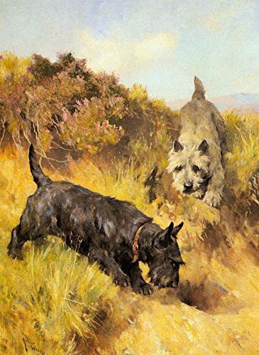 Tableau Deux Scotties Arthur Wardle paysage de campagne pour salon chaleureux