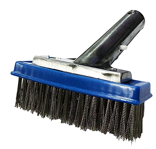 See full amazon price history chart for BlueWave 5 Inch Aluminum Algae Brush with Stainless Steel Bristles Wire, Cleaning Brush for Wall Floor with Heavy Duty Aluminium Handle Algae Corner Brush for Concrete & Plaster Pool Spa (Pack of 1) BlueWave 5 Inch Aluminum Algae Brush with Stainless Steel Bristles Wire, Cleaning Brush for Wall Floor with Heavy Duty Aluminium Handle Algae Corner Brush for Concrete & Plaster Pool Spa (Pack of 1) (B092R617R9) Amazon Price History, Amazon Price Tracker