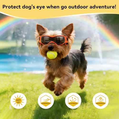 Image of Dog Goggles, Small Breed Dog Sunglasses, UV Protection, Wind & Dust Rain Snow Protection, Orange, Small