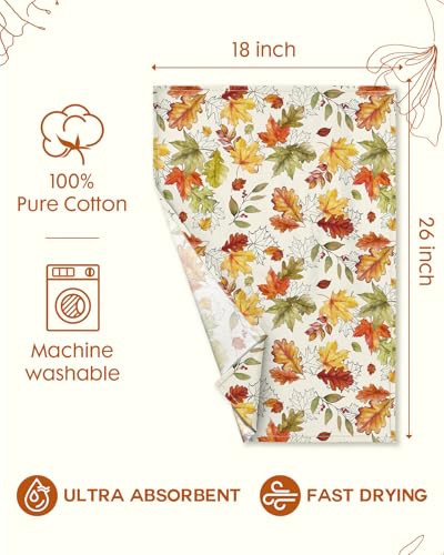 Image of 150GSM Flour Sack Kitchen Towels Set of 2, Autumn Leaf | 18 inchx26 inch, Lightweight, Lint-Free, Pure Cotton, Decorative, with Hanging Loop, Absorbent, Softer after Wash, Giftable Package