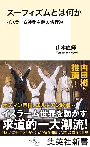 スーフィズムとは何か イスラーム神秘主義の修行道 (集英社新書)