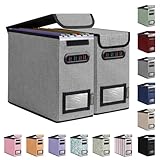 BALEINE File Organizer Box...