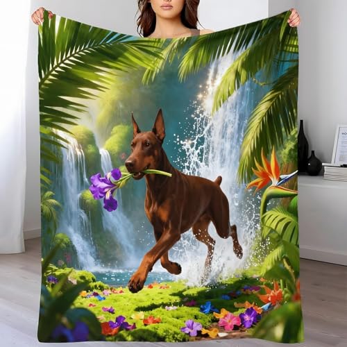 �M�щJ�уh�[�x���}���ѕz, ���G���X�^�C���}�C�N���t�@�C�o�[�t�����l���u�����P�b�g180×200CM, �y���Ăӂ�ӂ�A�_�炩���A�����Ēg�����̂ŁA�q�����̕��₨�q�l�ɓ��� �ł��B����@�ŗ␅�Ő􂦁A�����@�͒ቷ�ł��g�p���������܂��B��N�����g������������