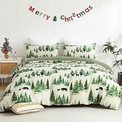 Green Christmas Forest
