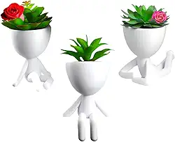 Kit Vasinhos 3 Decorativos Bob Suculenta