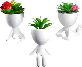 Kit Vasinhos 3 Decorativos Bob Suculenta