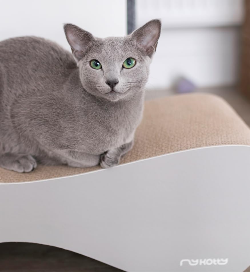 Grand griffoir Chats Carton 75 x 24 x 21 cm Vigo Mykotty griffoir en Carton pour Chat griffoir pour Chat Design Couleur au Choix