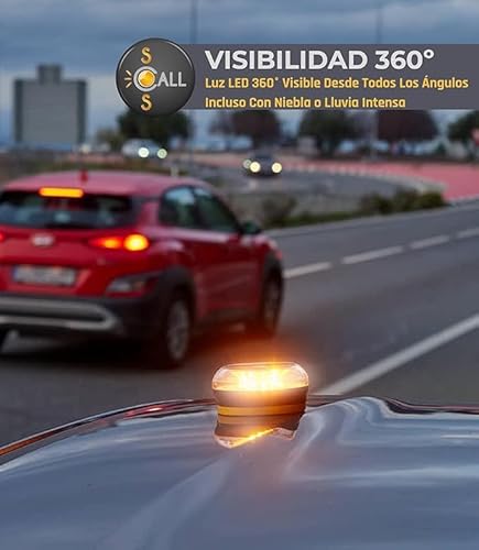 Miniatura 11 de 