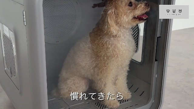 Amazon.co.jp: 【皮膚科獣医師推奨】 ペットドライルーム ペット