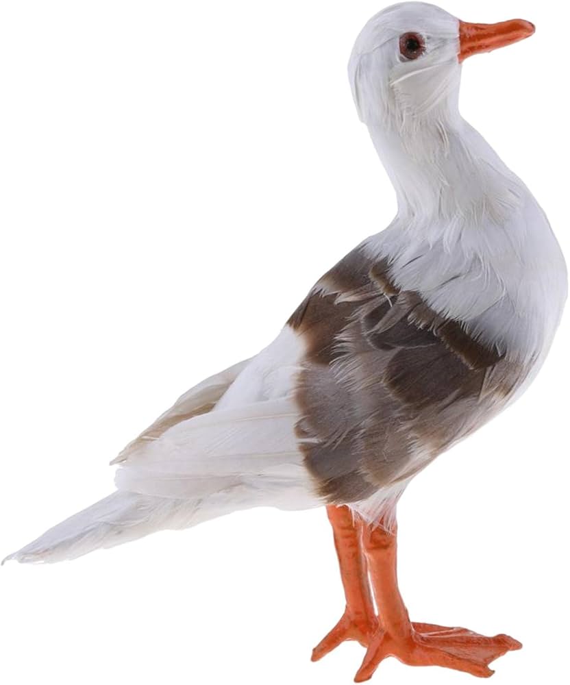 Amazon | Leefasy カモメの像をシミュレートした動物の置物リアルな家