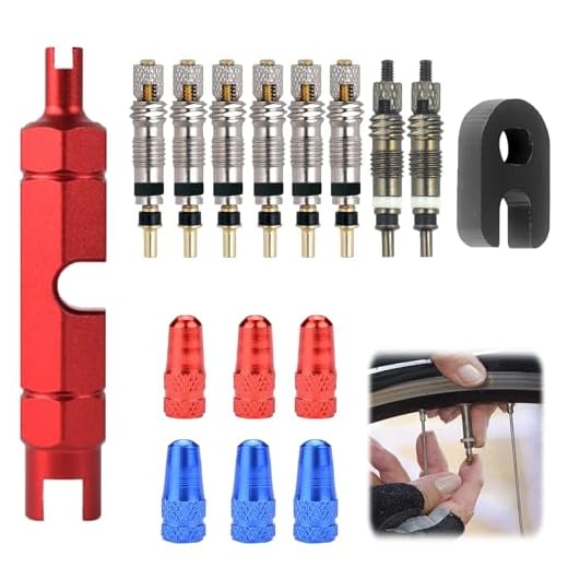 Kit de 12 Núcleos de Válvula Tubeless para MTB 29 con Adaptadores y Llave Obus, Válvulas de Bicicleta Universales de Aleación de Aluminio y Latón, Ideal para Mejora (16 Pcs)
