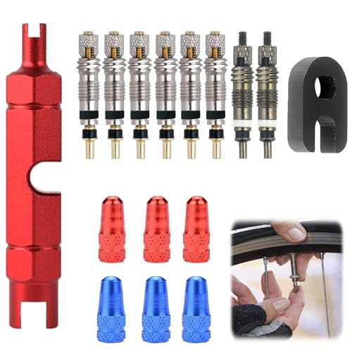 Kit de 16 Pièces pour Valves Tubeless VTT, Inclut Noyaux de Valve Presta, Outil Démonte Obus, et Adaptateurs de Pompe à Vélo - Solution Universelle pour la...