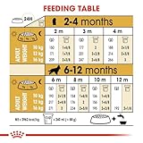 Royal Canin Cocker Junior 3 kg, 1er Pack (1 x 3 kg)