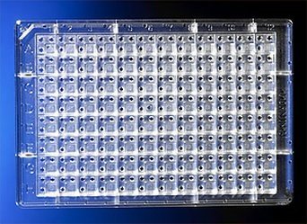Corning 96 Half Area Well Flat Clear Bottom Black Polystyrene TC-Treated Microplates, 20 per Bag, with Lid