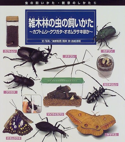 雑木林の虫の飼いかた―カブトムシ・クワガタ・オオムラサキほか (虫の飼いかた・観察のしかた)