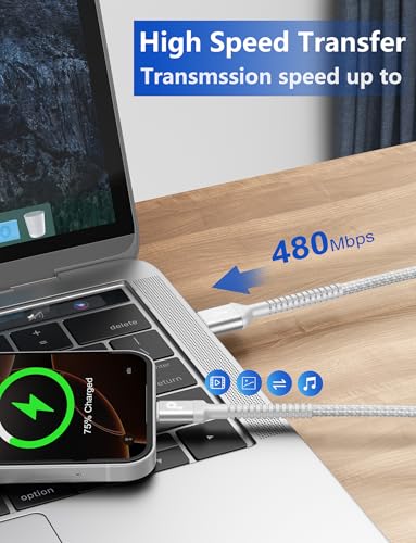 Image of USB A to USB C Cable Fast Charging [2 Pack, 6FT], USB to USB C Charger Cable Upgraded Extra Durable Braided USBC Cable Compatible with iPhone 17 16 15 Pro Max, Samsung Galaxy S26 and More -Silver