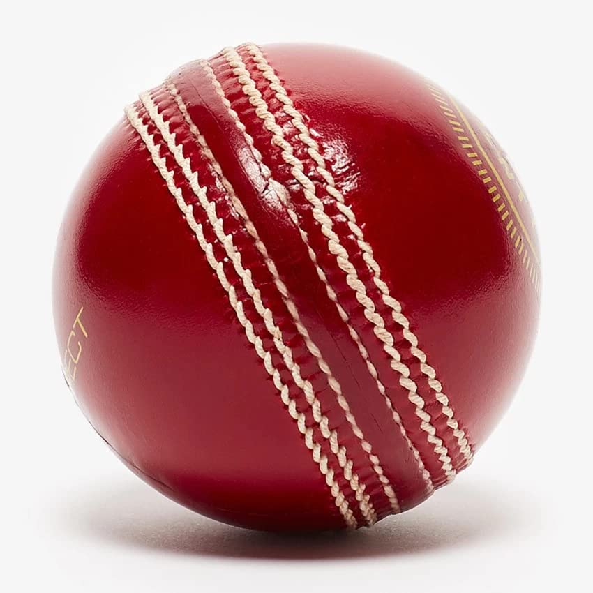 CABRIO Leather 4Panal 40+ Over Cricket Ball for Tournament and Club Matches Ball-image-48