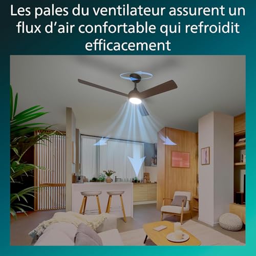 Ventilateur de plafond avec LED télécommande PHILIPS Civx 3 pales 2500 lumens - 4