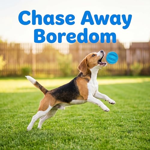 Beiker 20 Pack Puppy Chew Toys, Dog Teething Toys for Puppies Small Dogs | Blue Puppy Teething Rings and Ropes, Rubber Toy Bundle for Puppy Busy, Cute Interactive Pet Balls Bulk for Small Breed - Image 6