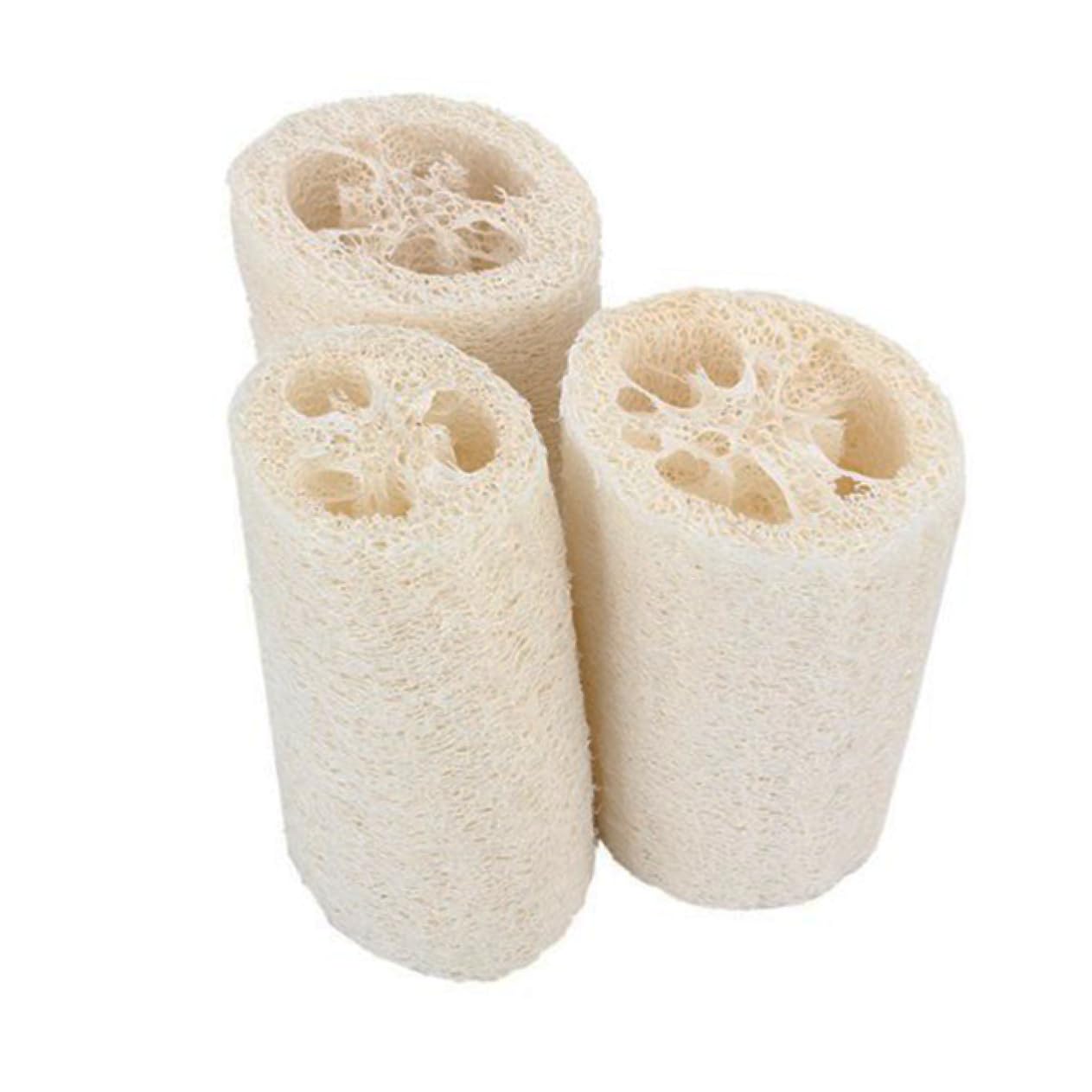 Beavorty 15stücke Natürliche Luffa Peeling-schwämme Für Körperpflege Zum Duschen Und Reinigen Fördert Die Blutzirkulation Und Sorgt Für Glatte Haut