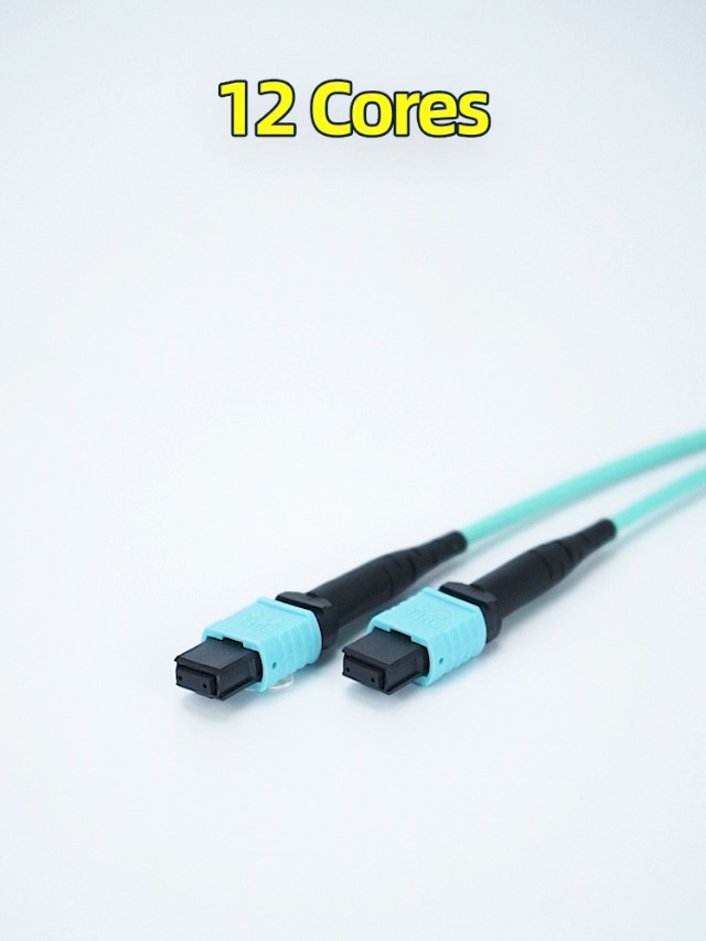 Image of MPO to MPO Fiber Patch Cable,6M /20ft OM3 Multimode MTP Female Type B Cable | 12 Core Strand(8 Core Compatible) for QSFP+Transceivers MTP Compatible Application