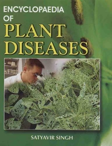 fodykax ckyd% ns[k&Hkky ,oa f'k{kk