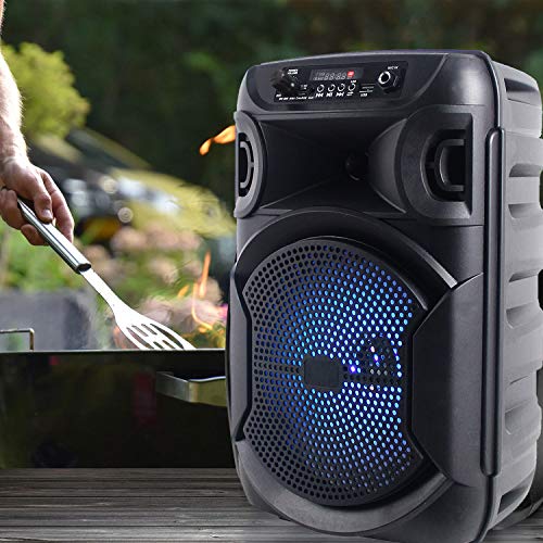 Portable 8 Inch Portable 800 watts Bluetooth Speaker with Woofer