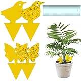 Profesional: las trampas para moscas de la fruta tienen adhesivo de doble cara, el color amarillo claro atrae a los mosquitos de los hongos y el pegamento de alta calidad evita que se escapen. Especialmente desarrollado para plagas de moscas.