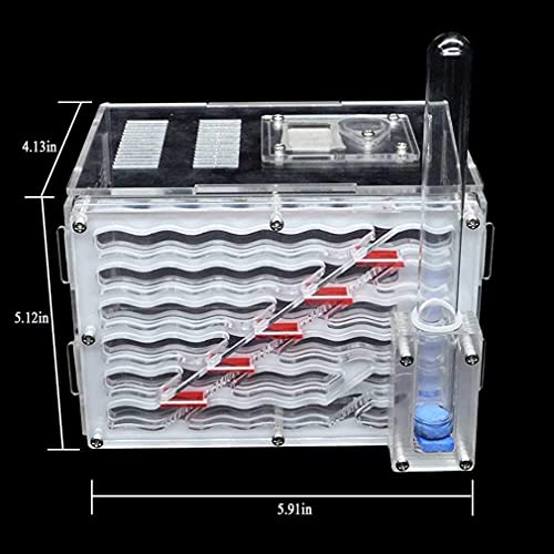 TYSJL Mierenboerderij, miernestformicarium om live mierenhabitat te observeren, transparante acryl mierbehuizing nestdoos, mieren huis voor het voeden van mieren (Color : -, Size : -) - Afbeelding 5