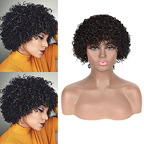 Baby Young Hair Short Curly Human Hair Cut Curly Human Hair Wigs for Black Women Short Curly Human Hair Wigs Pre Plucked (Short Curly Wig)