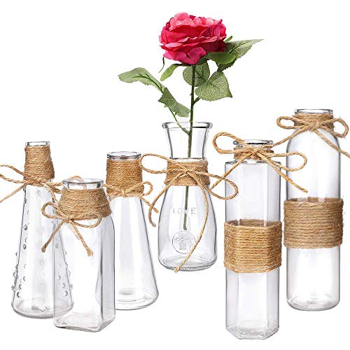 Habbi Glass Vases Set of 6, Clear Glass Flower Vase with Rope Design