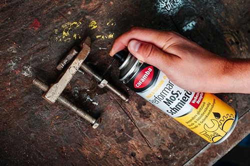 Schmieröl Caramba Performance MoS2 300 ml für Rostlöser und Pflege