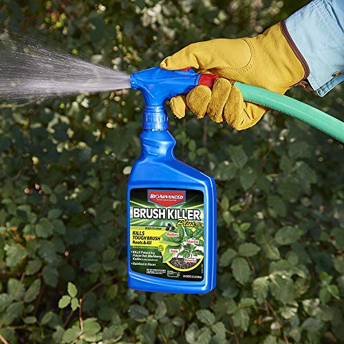 Bioadvanced Brush Killer Plus, Ready-To-Spray, 32 Oz #TOP5